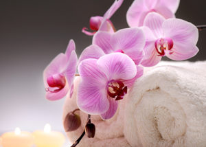 Orchid with Spa Towels